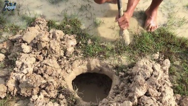 Foto - Hiçbir alet kullanmadan balık tuzağı yaptı