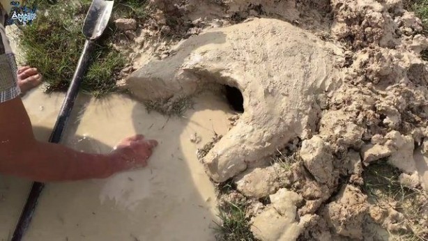 Foto - Hiçbir alet kullanmadan balık tuzağı yaptı