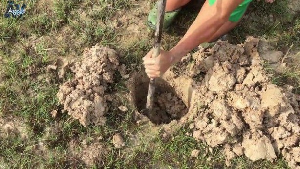 Foto - Hiçbir alet kullanmadan balık tuzağı yaptı