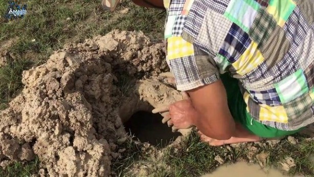 Foto - Hiçbir alet kullanmadan balık tuzağı yaptı