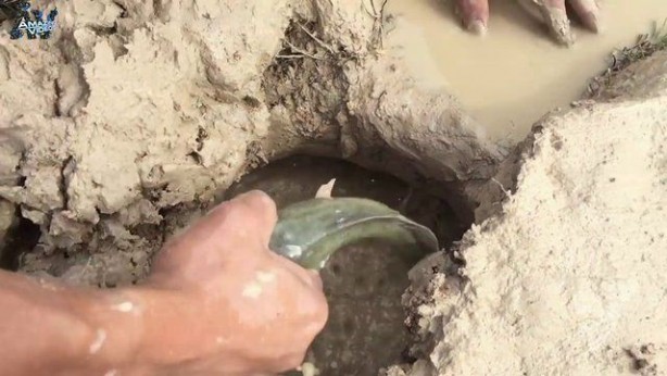 Foto - Hiçbir alet kullanmadan balık tuzağı yaptı