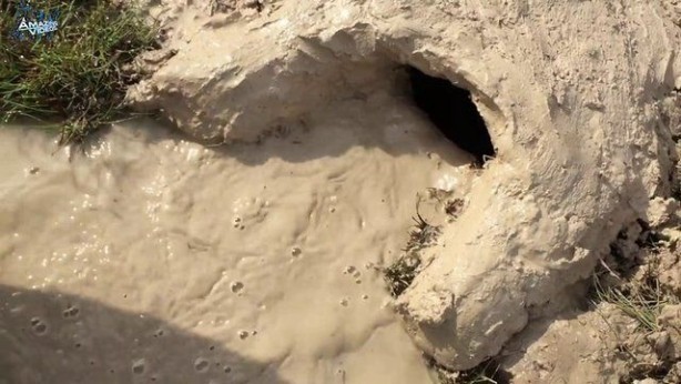 Foto - Hiçbir alet kullanmadan balık tuzağı yaptı