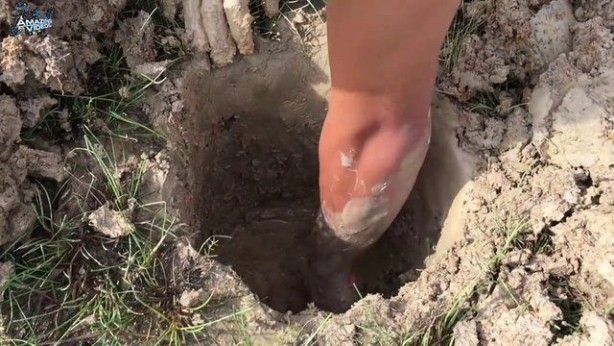 Foto - Hiçbir alet kullanmadan balık tuzağı yaptı