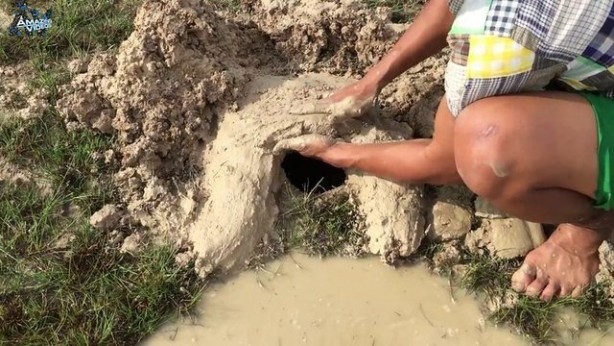 Foto - Hiçbir alet kullanmadan balık tuzağı yaptı