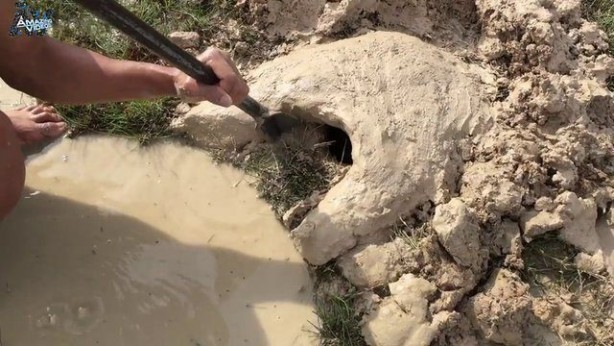 Foto - Hiçbir alet kullanmadan balık tuzağı yaptı