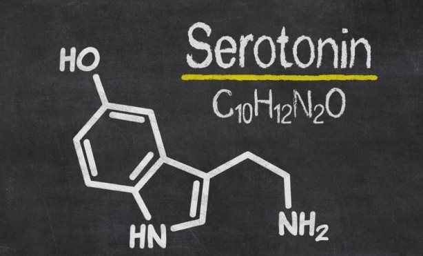 Hiçbirimiz bunu bilmeden yiyoruz! Direkt beyni etkiliyormuş