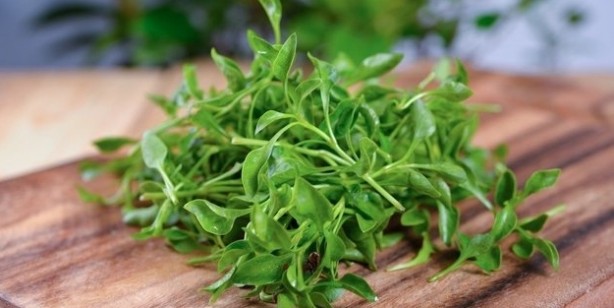 Foto - Hiçbirimiz bunu bilmeden yiyoruz! Direkt beyni etkiliyormuş