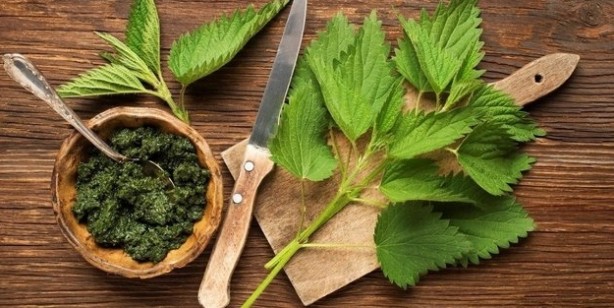 Foto - Hiçbirimiz bunu bilmeden yiyoruz! Direkt beyni etkiliyormuş