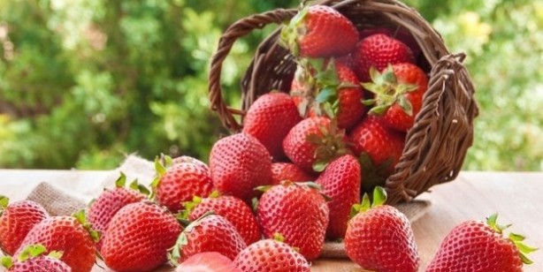 Foto - Hiçbirimiz bunu bilmeden yiyoruz! Direkt beyni etkiliyormuş