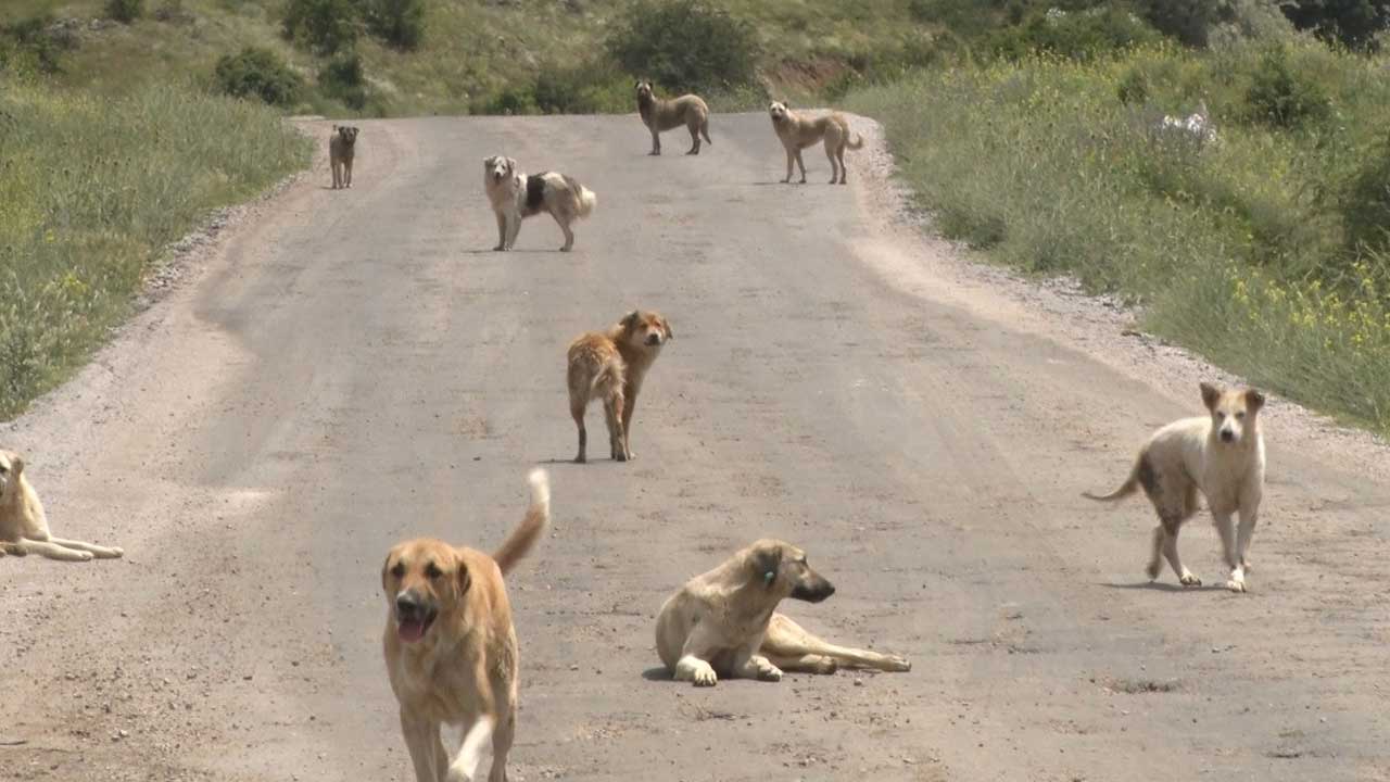 Foto - Hilal Kaplan'dan çok sert eleştiri: Bana tuhaf geliyor! Artık bunu yazmak istemiyorum
