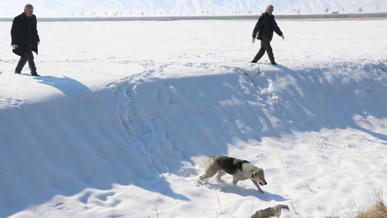 Foto - Hilal Kaplan'dan çok sert eleştiri: Bana tuhaf geliyor! Artık bunu yazmak istemiyorum