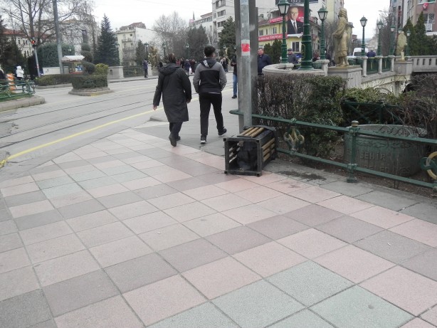 Foto - Hıncını çöp kutusunu devirerek çıkardı