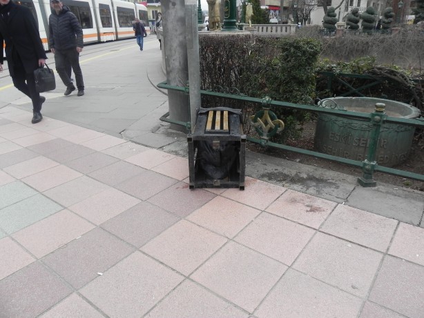 Foto - Hıncını çöp kutusunu devirerek çıkardı