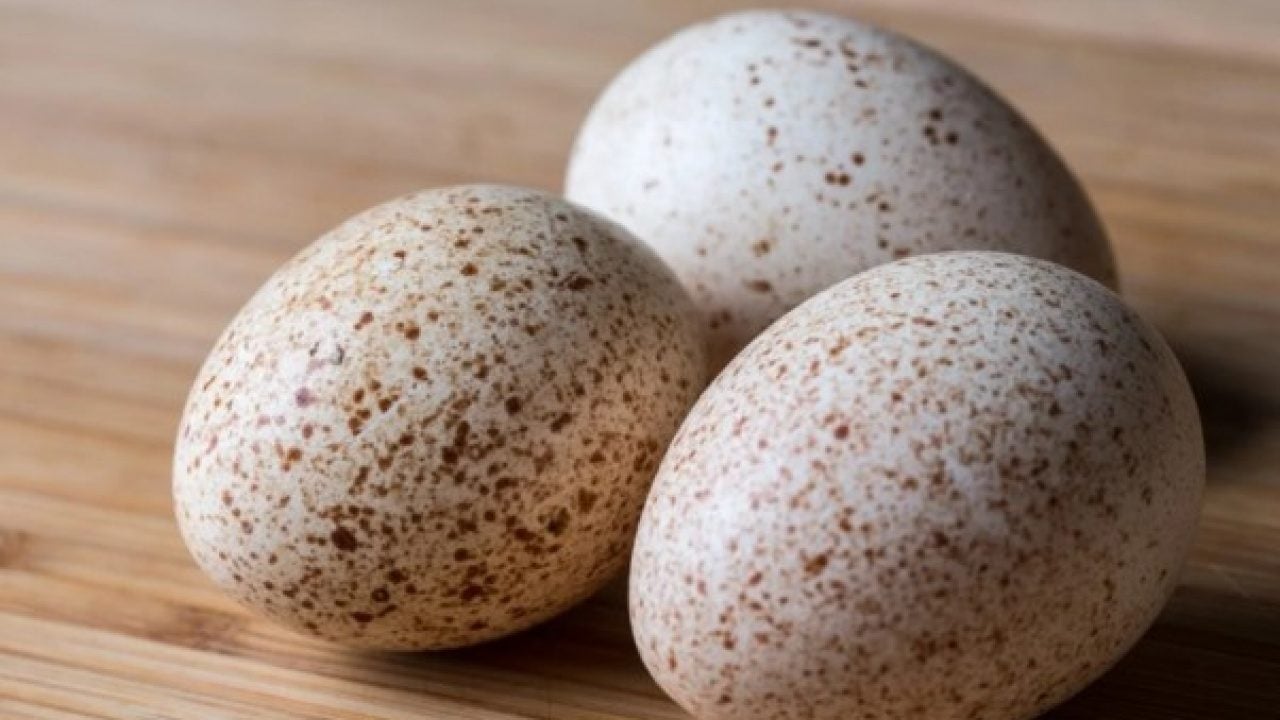Hindi yumurtası neden marketlerde satılmıyor? Nedeni bakın neymiş!