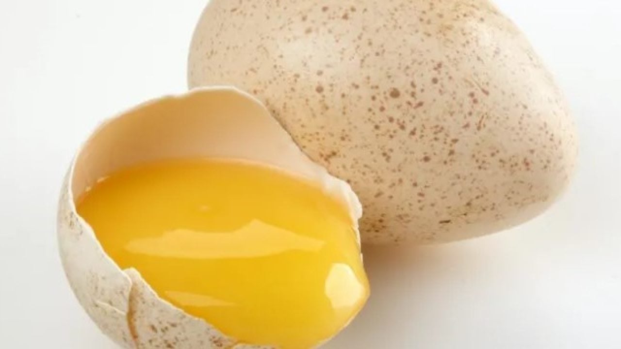 Foto - Hindi yumurtası neden marketlerde satılmıyor? Nedeni bakın neymiş!