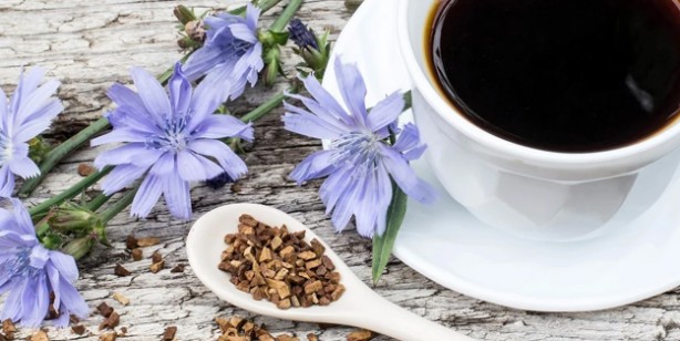 Foto - Hindiba kahvesinin faydaları nelerdir? Hindiba kahvesi ne işe yarar? Neye iyi gelir?