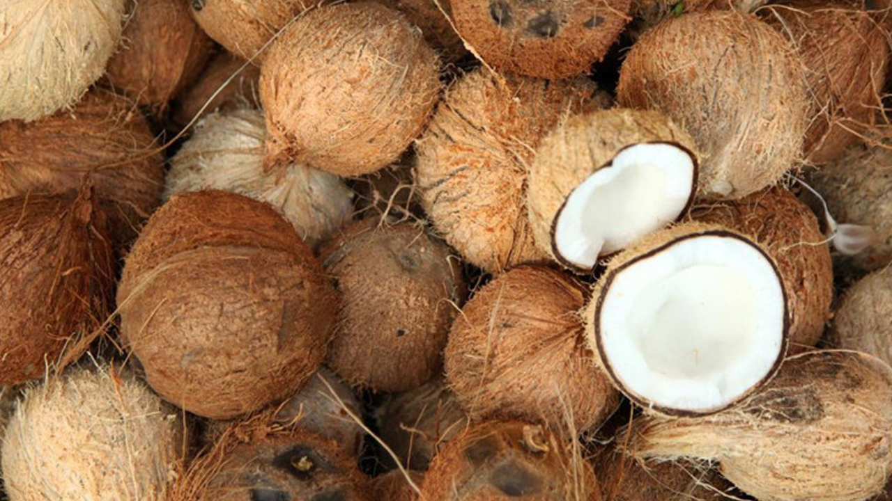 Foto - Hindistan cevizi ile yapılan en güzel yemekler seçildi: 10 yemek öne çıkıyor!