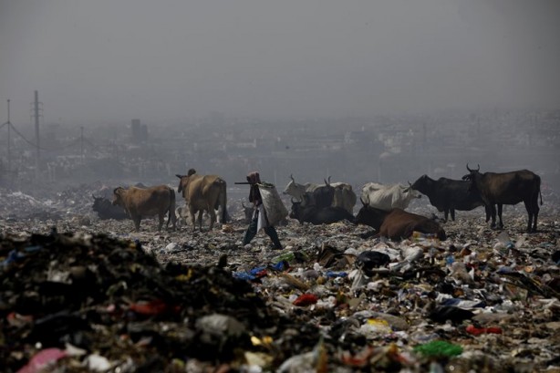 Foto - Hindistan Dünya Çevre Günü'nü böyle karşıladı! Bölgeden dumanlar yükseldi