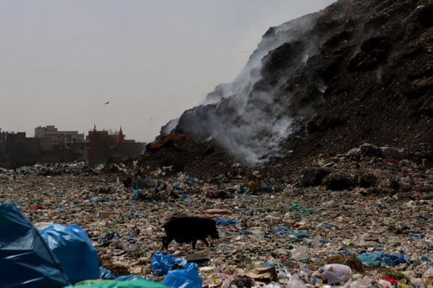 Foto - Hindistan Dünya Çevre Günü'nü böyle karşıladı! Bölgeden dumanlar yükseldi