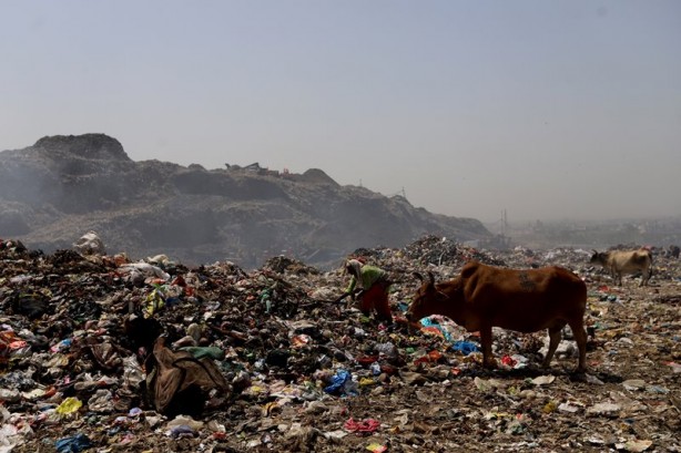 Foto - Hindistan Dünya Çevre Günü'nü böyle karşıladı! Bölgeden dumanlar yükseldi