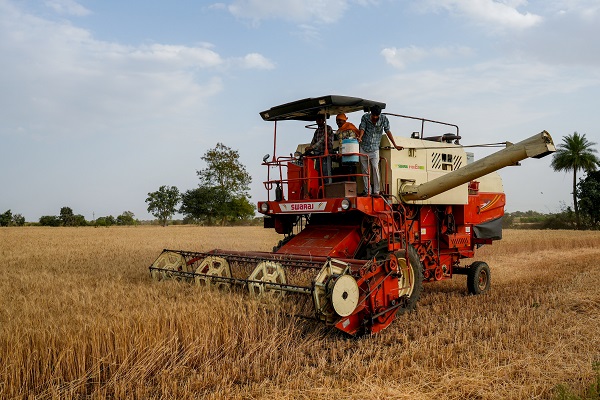 Foto - Hindistan'da buğday hasadı objektiflere yansıdı