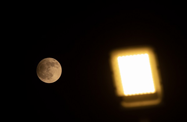 Foto - Hindistan'da gölgeli ay tutulması