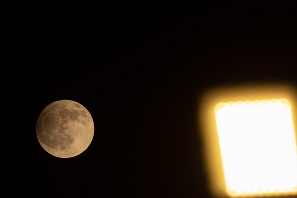 Foto - Hindistan'da gölgeli ay tutulması