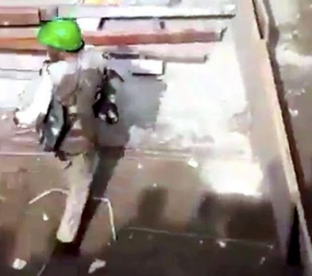 Hindistan'da kafesten kaçan leopar dehşet saçtı! Evlere girdi