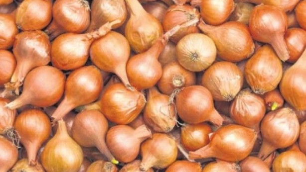 Hindistan'da soğan depremi! Apar topar Türkiye'nin kapısını çaldılar