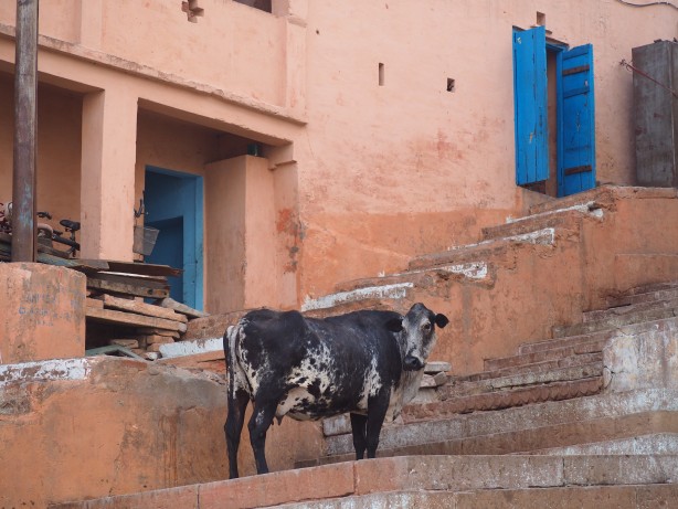 Foto - Hindistan'ın gizemli şehri Varanasi