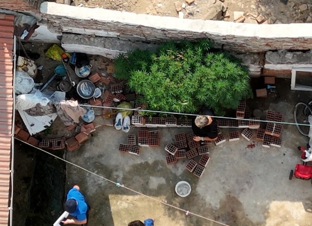 Foto - Hint keneviri yetiştirilen evin sahibinden ilginç savunma