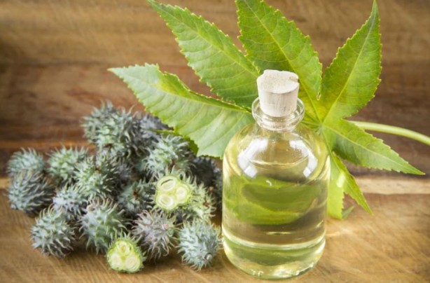 Foto - Hint yağının bu faydalarını duyunca evinizden eksik etmeyeceksiniz! 