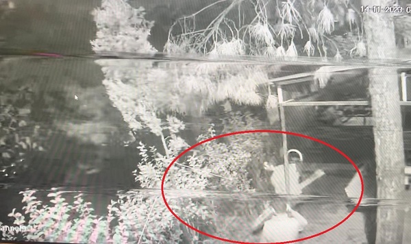 Foto - Hırsızlar 'Örümcek Adam'a özendi! 