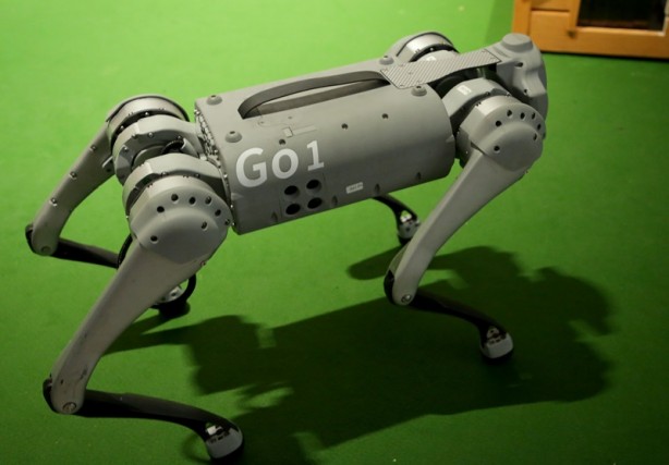 Foto - Hırvatistan'da "Robotların Dünyası" sergisi