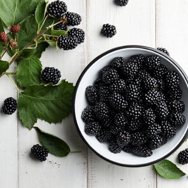 Foto - Hızla kilo verdiren muhteşem besinler!