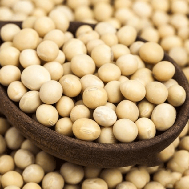 Foto - Hızla kilo verdiren muhteşem besinler!