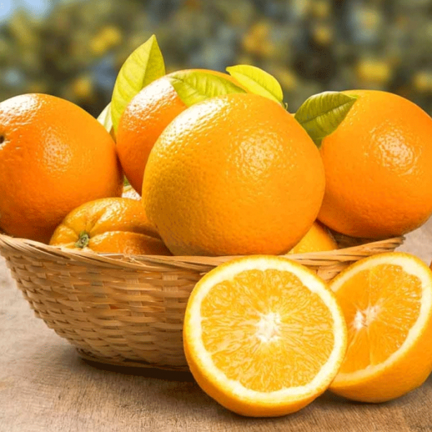 Foto - Hızla kilo verdiren muhteşem besinler!