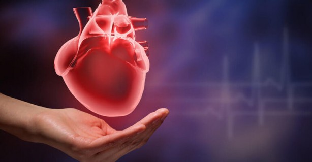 Foto - Hızlı kalp atışının 10 sebebi