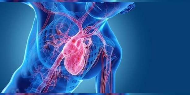 Foto - Hızlı kalp atışının 10 sebebi