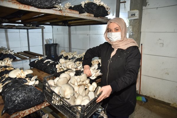 Foto - Hobi olarak başladı ayda 45 bin TL kazanıyor