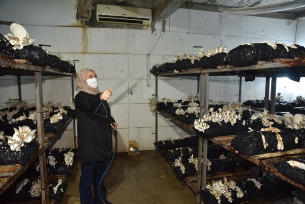 Foto - Hobi olarak başladı ayda 45 bin TL kazanıyor