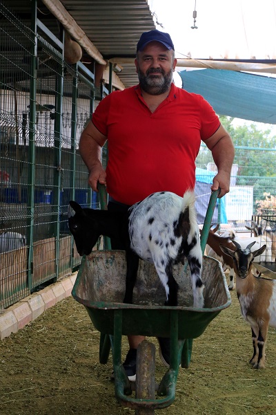 Foto - Hobi olarak başladı çiftlik kurdu! Dikkatli bakın biblo değil keçi