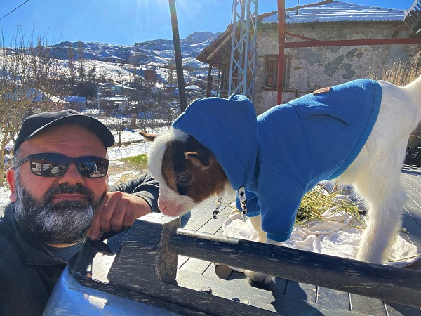 Foto - Hobi olarak başladı çiftlik kurdu! Dikkatli bakın biblo değil keçi