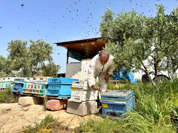 Foto - Hobi olarak başladı geçim kapısı oldu