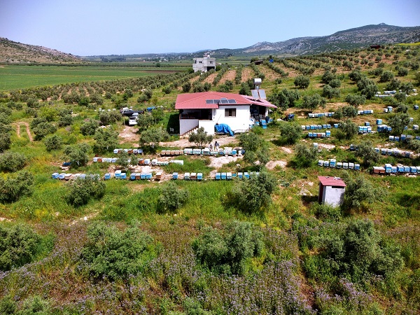 Foto - Hobi olarak başladı geçim kapısı oldu