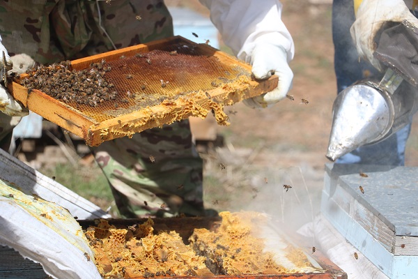 Foto - Hobi olarak başladı geçim kapısı oldu