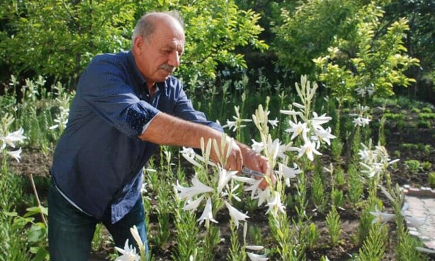 Foto - Hobi olarak başladı hayatını değiştirdi