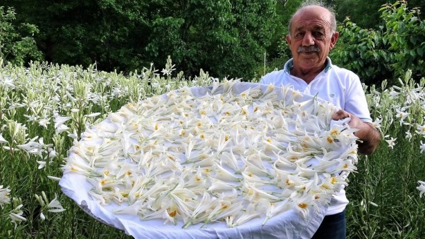 Foto - Hobi olarak başladı hayatını değiştirdi