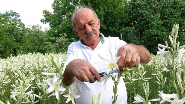 Foto - Hobi olarak başladı hayatını değiştirdi