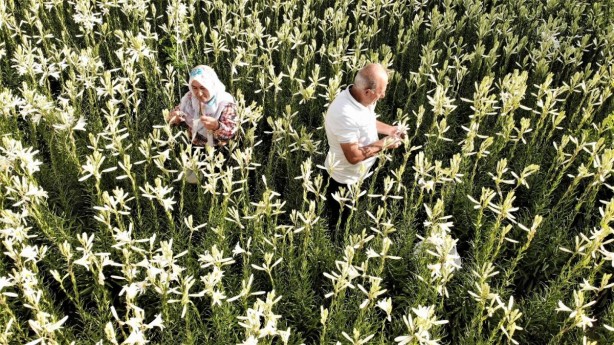 Hobi olarak başladı hayatını değiştirdi